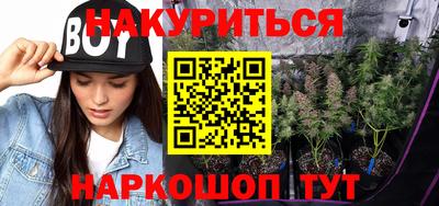 стафф Лесосибирск