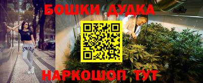 стафф Лесосибирск